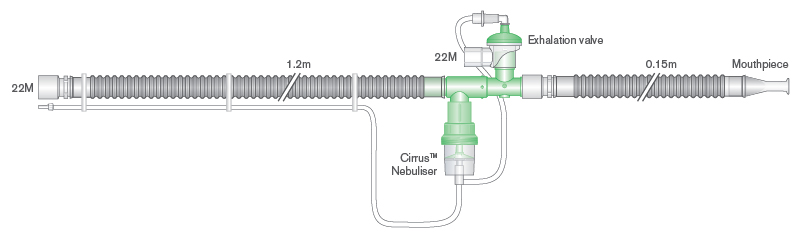 Circuit IPPB pour Bird®
